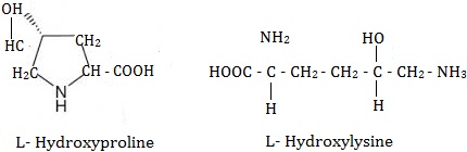 hydroxyproline and Hydroxylsin